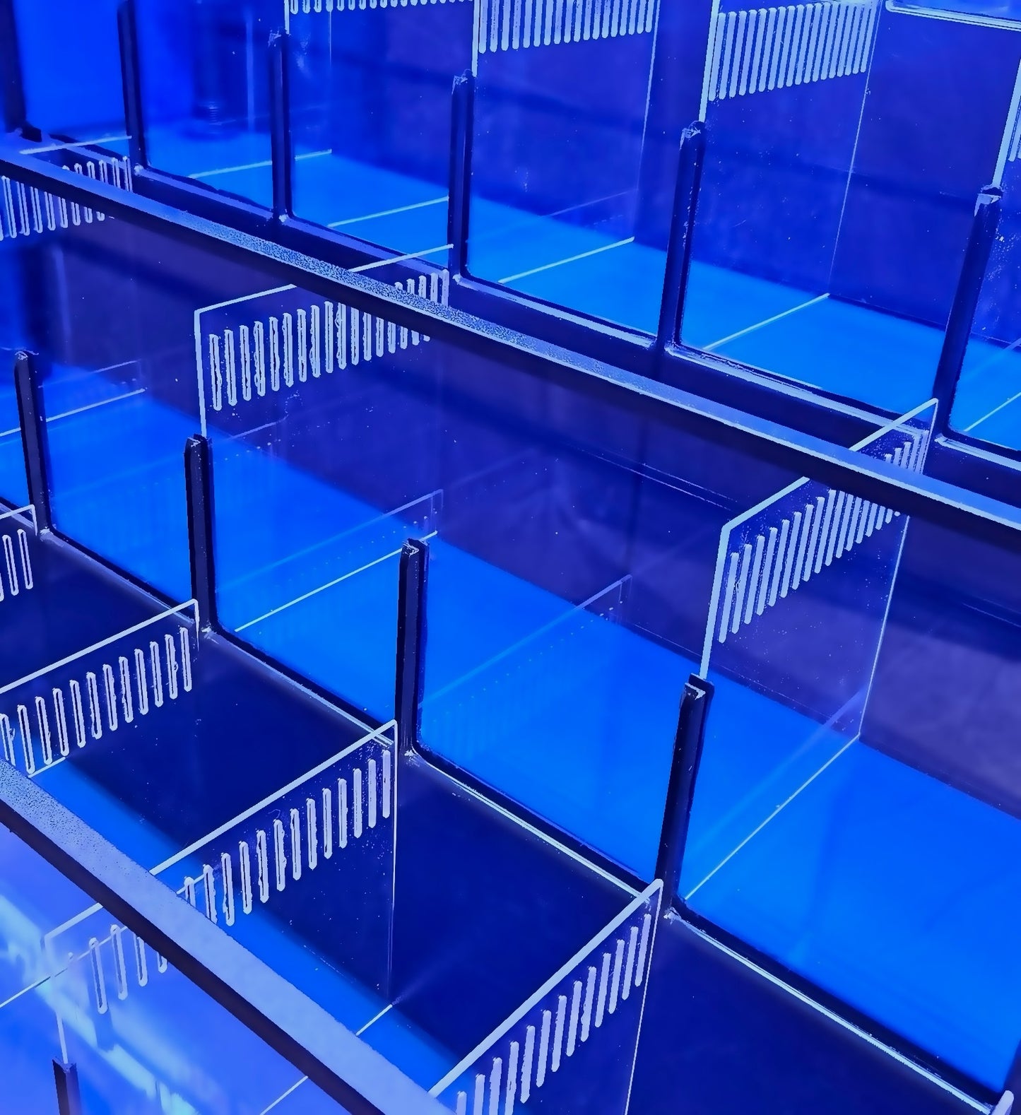 Freshwater or Marine Crustaceans Tiered Aquarium Rack