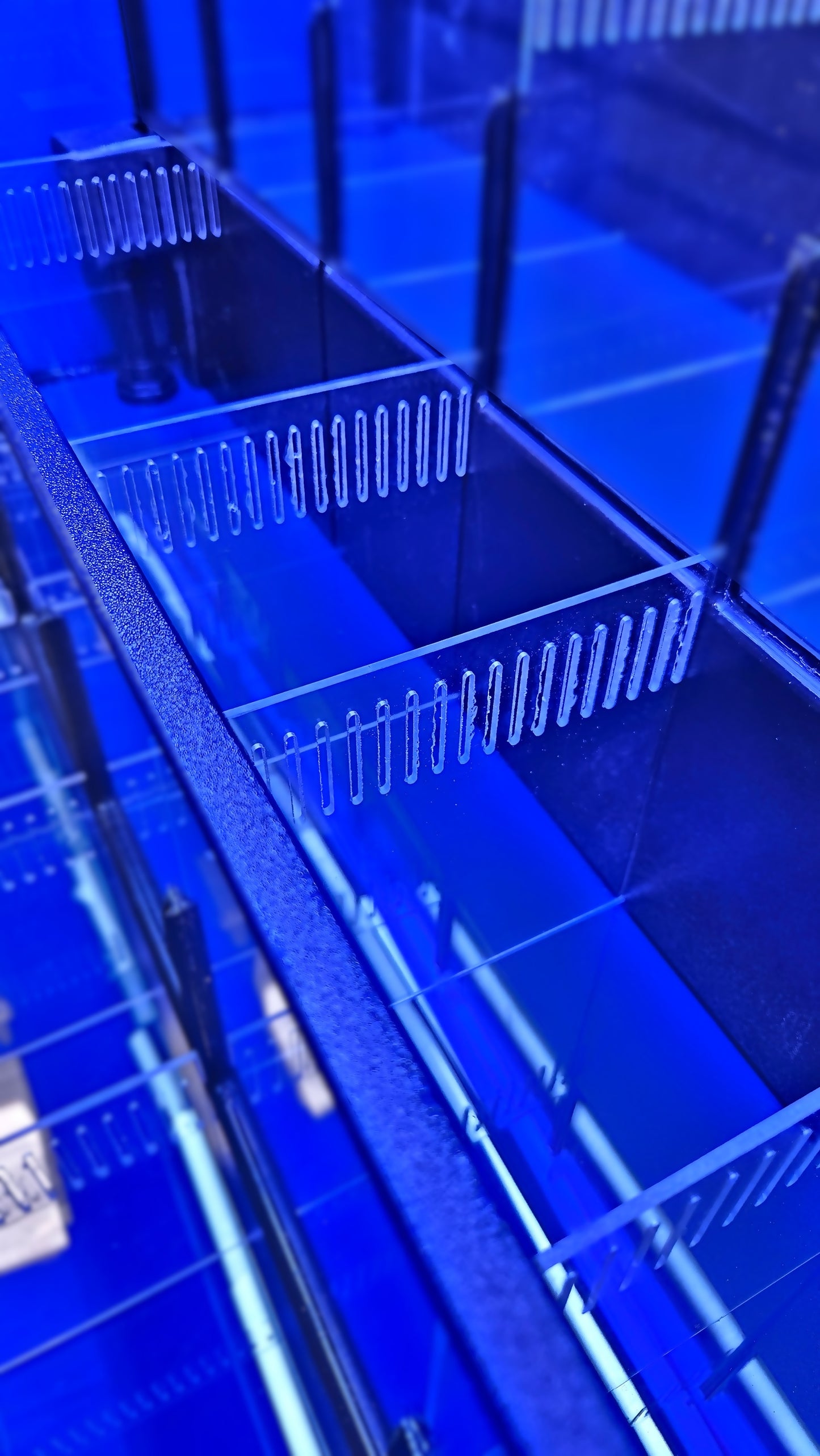 Freshwater or Marine Crustaceans Tiered Aquarium Rack
