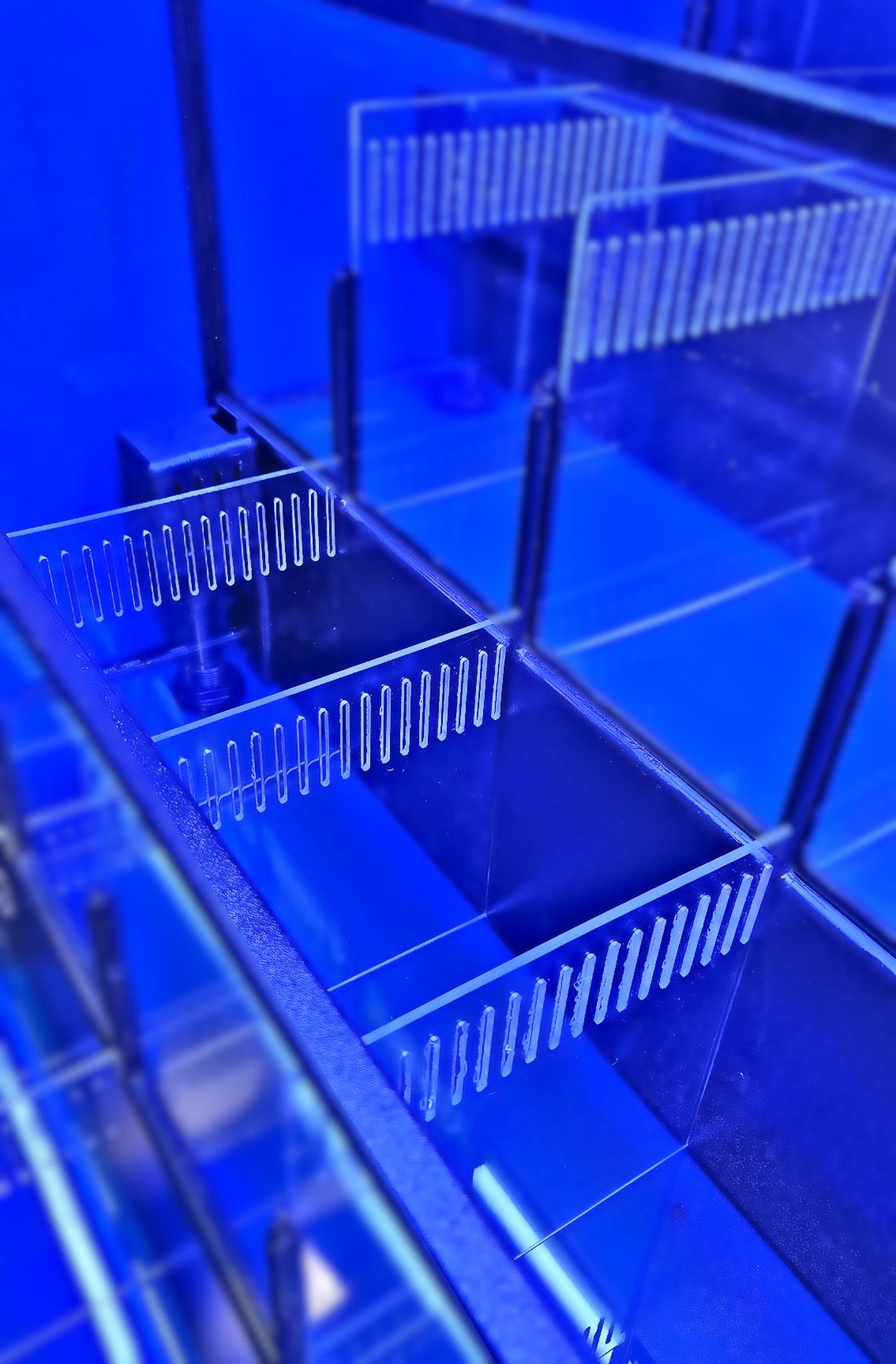 Freshwater or Marine Crustaceans Tiered Aquarium Rack
