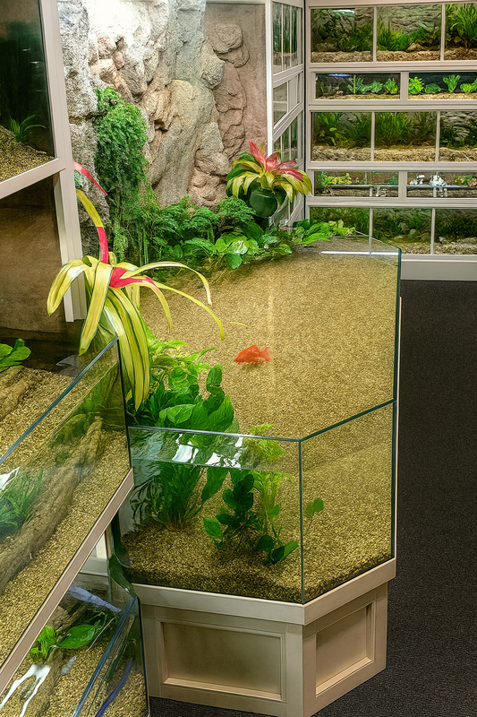 3D Aquariums | Marine Tanks | Freshwater Tanks | Aquatic Turtle Tanks