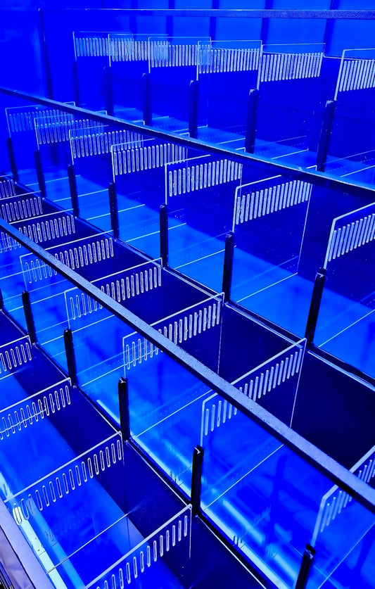 Freshwater or Marine Crustacean Tiered Aquarium Rack