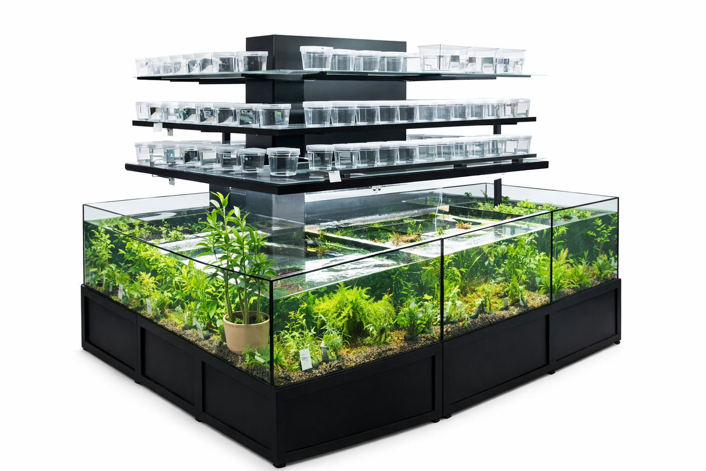FW Fish Cascading Aquatic Plant Merchandiser