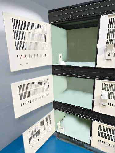 Puppy Acclimation Isolation Kennels for Veterinary Care