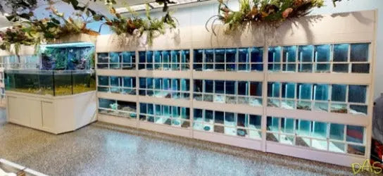 Reptile Care Commercial Display Rack Commercial Enclosures