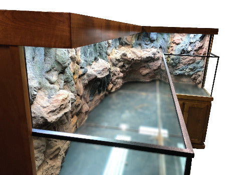 Custom Designed Aquatic Turtle Tank Nature Center