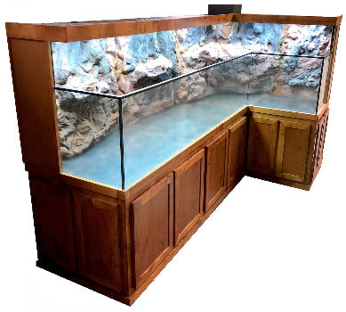 Custom Designed Aquatic Turtle Tank Nature Center