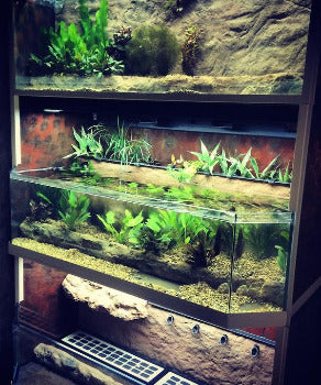 Custom Designed Aquatic Turtle Tank Nature Center