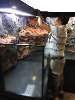 Custom Designed Aquatic Turtle Tank Nature Center