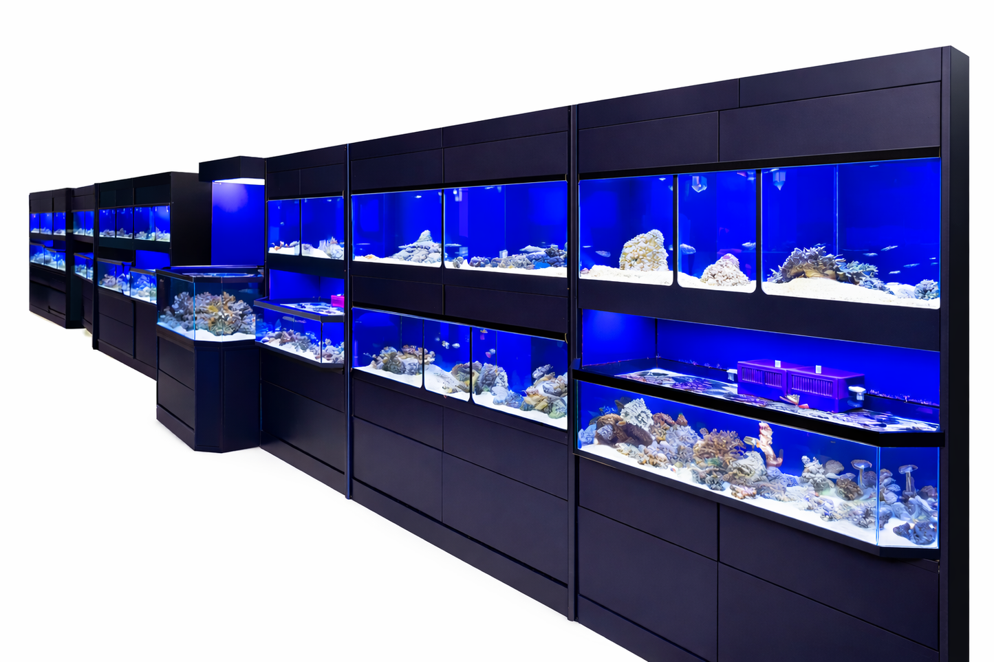 Marine Fish / Coral / Invertebrate Aquarium Racks