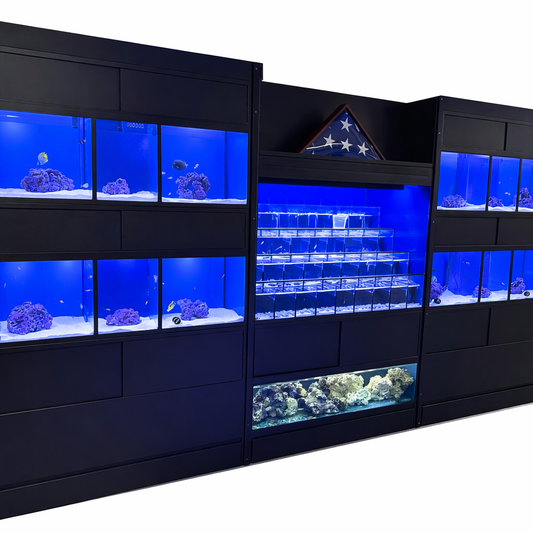 Coral | Invertebrate | Live Rock | Marine Fish Aquarium Retail Racks