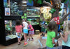 DAS Aquariums 3D Aquarium Archer Fish Waterfall Display