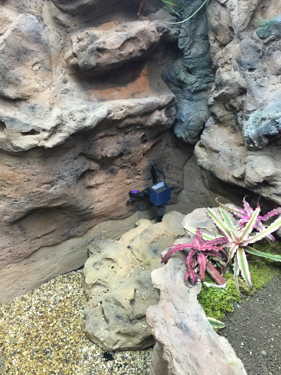 Mangrove Monitor Terrarium Custom Design