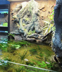Custom Design 3D Aquarium for Nature Center