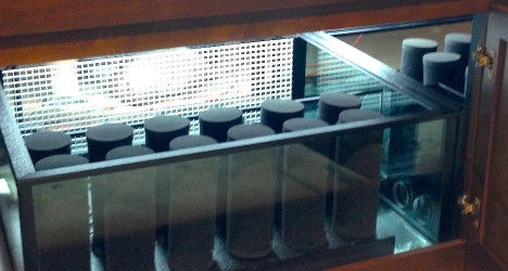 Custom Design Terrarium Turtle Tank for Nature Center