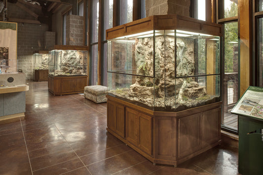 Custom Design Terrarium for Nature Center