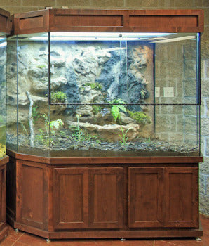 Custom Design Paludarium Terrarium or Turtle Tanks for Nature Center