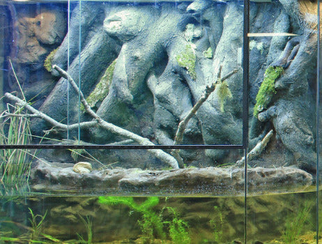 Custom Design Paludarium Terrarium or Turtle Tanks for Nature Center