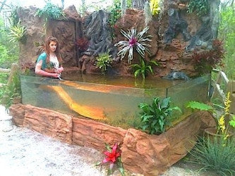 Mermaid 3D Aquarium Display