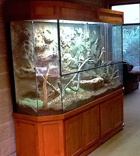 Exhibit "Rattle Snake Terrarium"