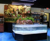 3D Show Aquarium Display Stingray
