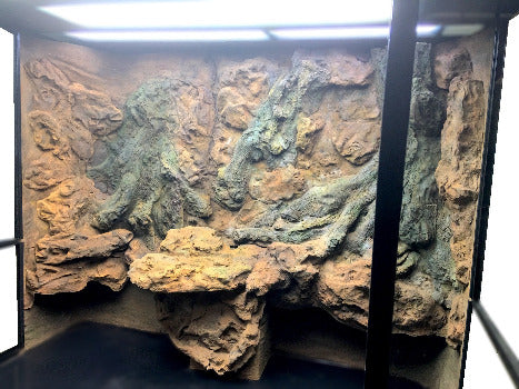 Custom Designed Aquatic Turtle Tank Nature Center