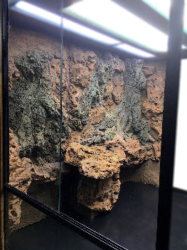 Custom Designed Aquatic Turtle Tank Nature Center