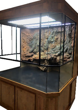 Custom Designed Aquatic Turtle Tank Nature Center