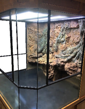 Custom Designed Aquatic Turtle Tank Nature Center
