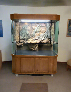 Custom Designed Aquatic Turtle Tank Nature Center