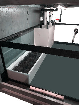 Custom Designed Aquatic Turtle Tank Nature Center
