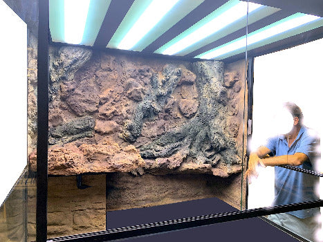 Custom Designed Aquatic Turtle Tank Nature Center