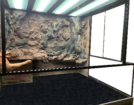 Custom Designed Aquatic Turtle Tank Nature Center