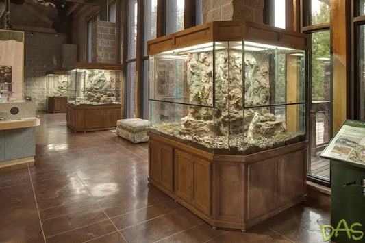Forest L Wood Crowley's Ridge Nature Center New Exhibits by DAS