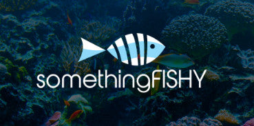 An innovative 2,000 square feet Tropical Fish Store featuring DAS Aquariums & Enclosures