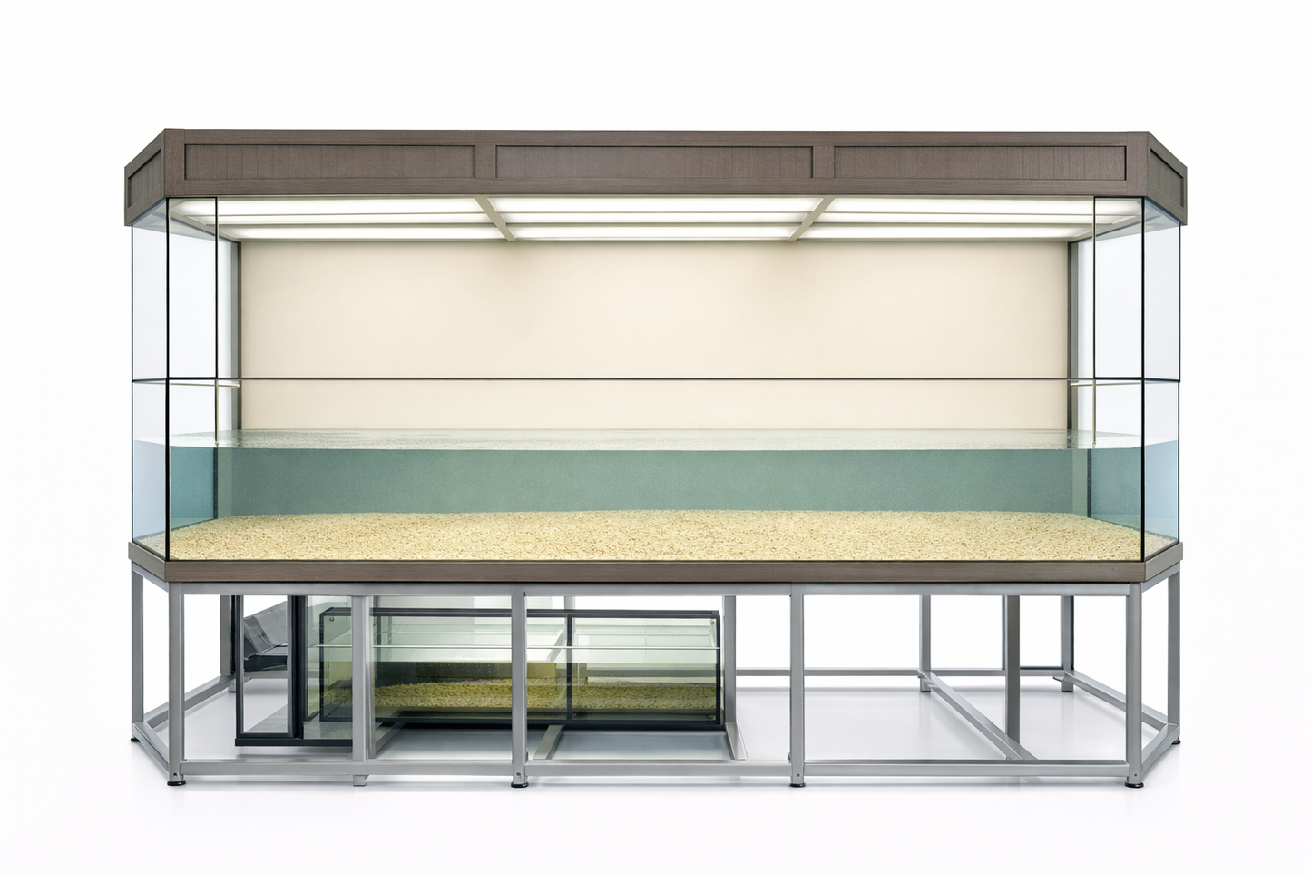 3D Aquarium Sump View