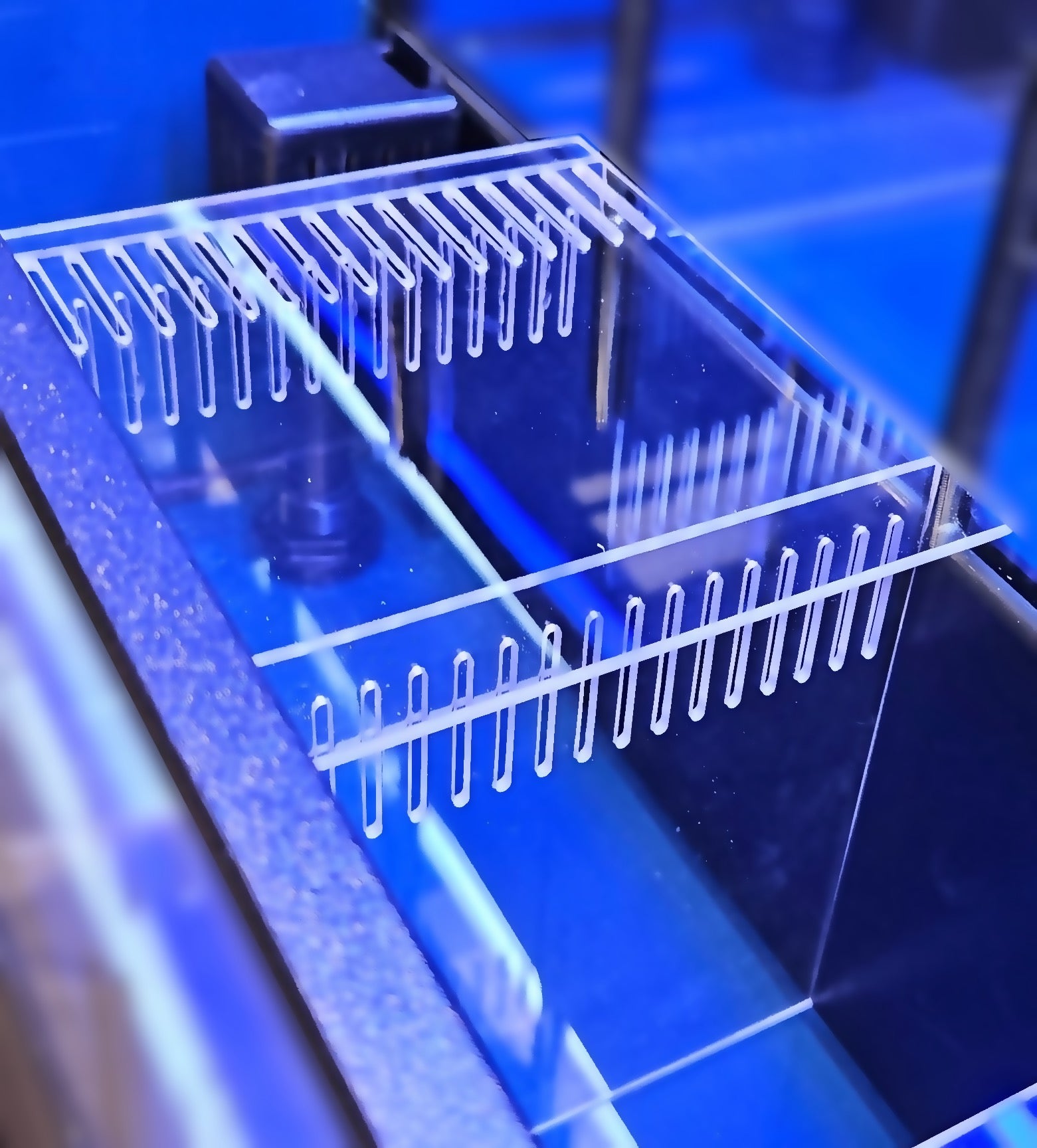 Freshwater or Marine Crustaceans Tiered Aquarium Rack – DAS