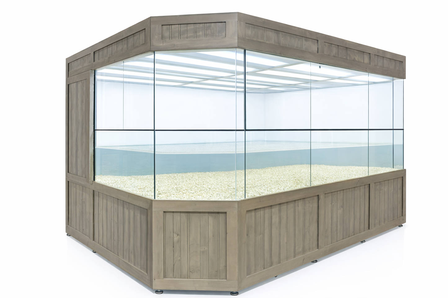 Water-snake 3 Aquarium