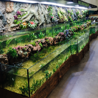 3D Aquarium Displays - Marine - Freshwater - Aquatic Turtles