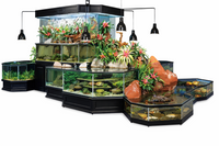 Collection of aquariums with various fish and plants on a white background