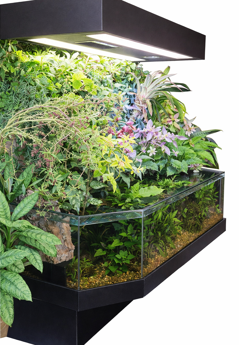 Tropical aquarium with lush plants and a black light fixture on a white background