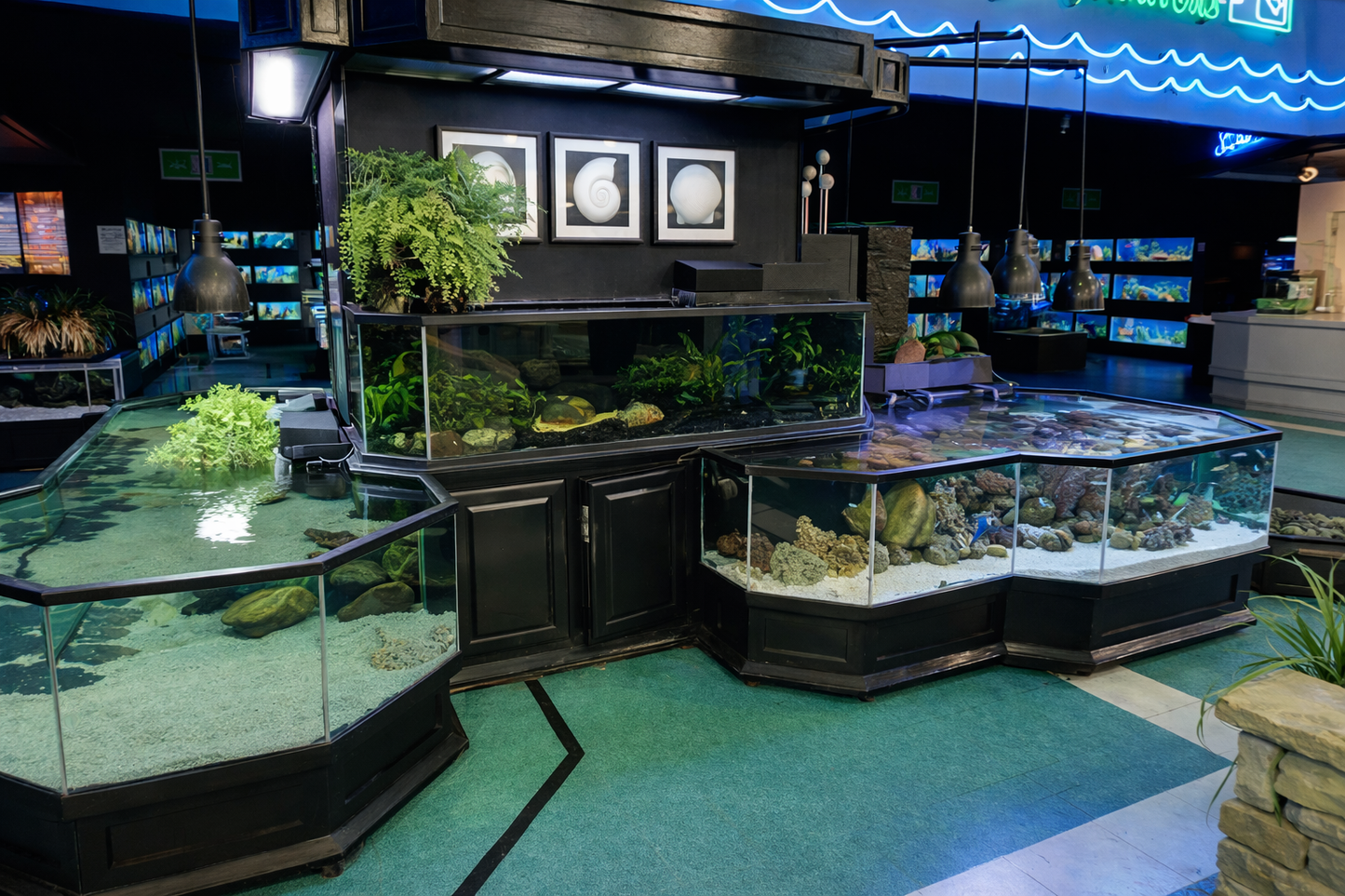 Aquarium store with various fish tanks and decorations