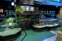 Aquarium store with various fish tanks and decorations