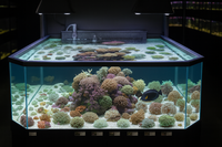 3D Aquarium Displays - Marine - Freshwater - Aquatic Turtles