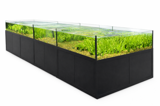 FW Fish Cascading Aquatic Plant Merchandiser