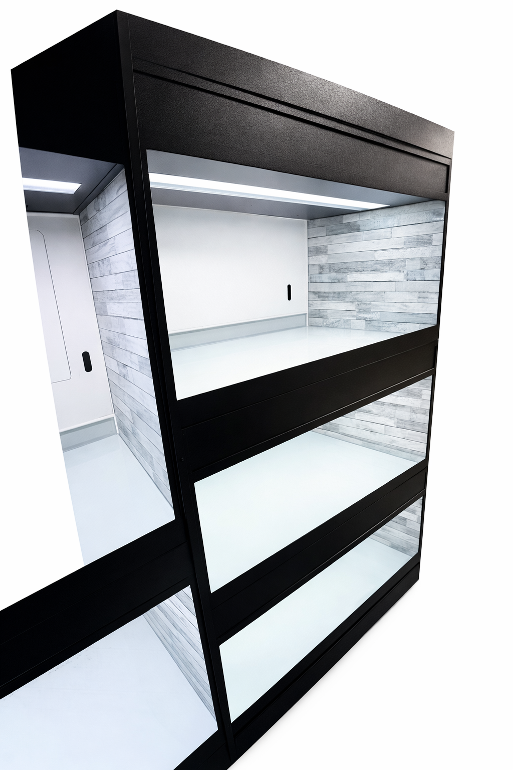 Professional animal adoption display with multiple enclosed suites for puppies and kittens, adoption kennels