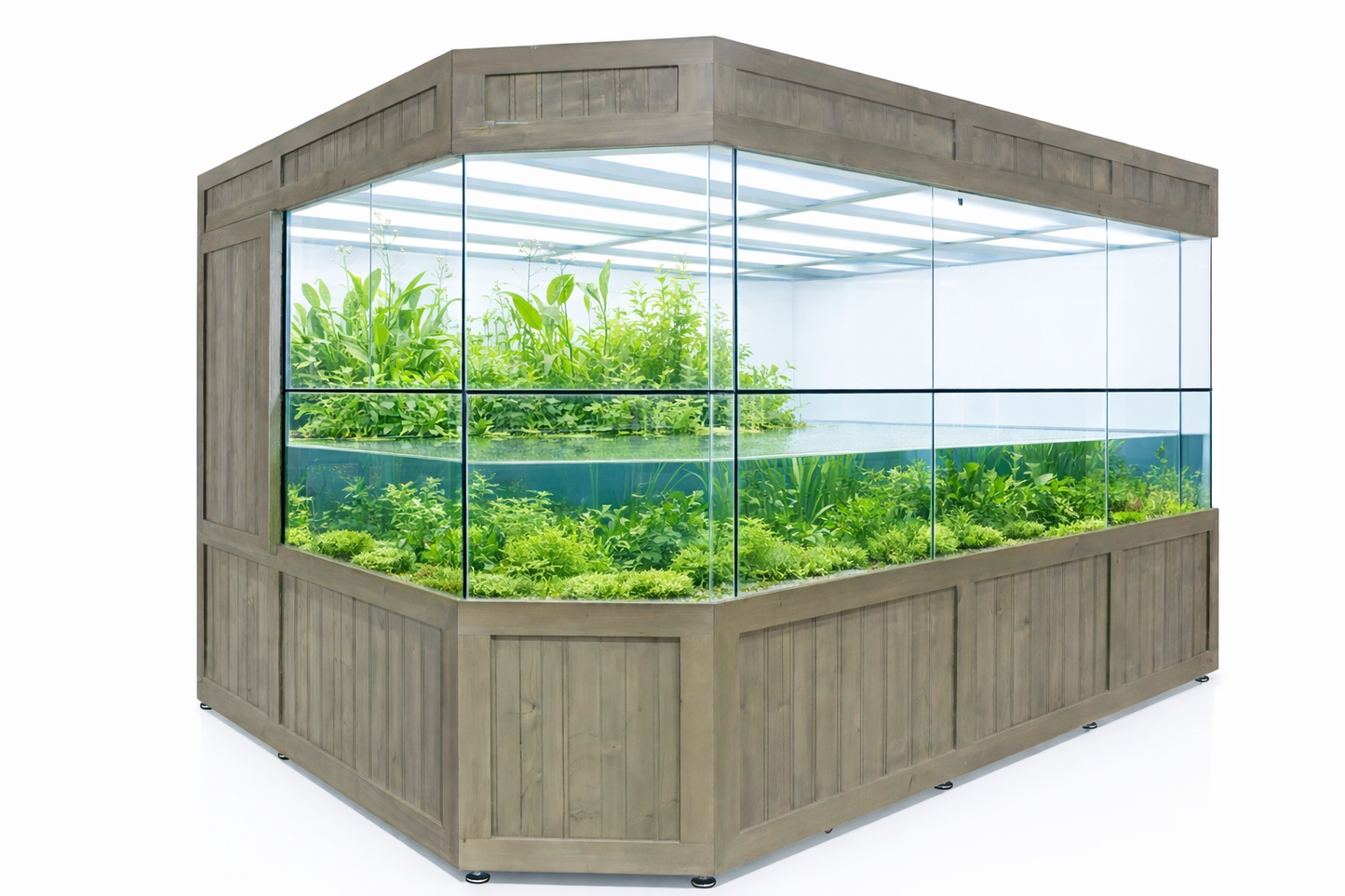 Hexagonal fish tank with wooden frame and glass panels displaying aquatic plants.