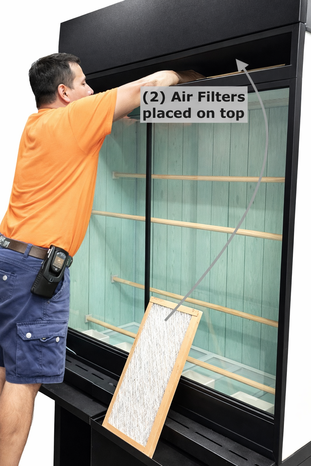 Modern Parrot Aviary