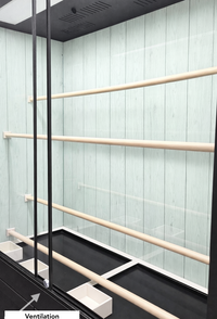 Modern Parrot Aviary