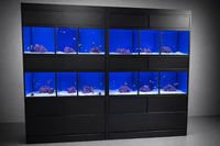 Coral retail aquarium rack with multi-tank saltwater system designed for low-maintenance coral display in pet stores