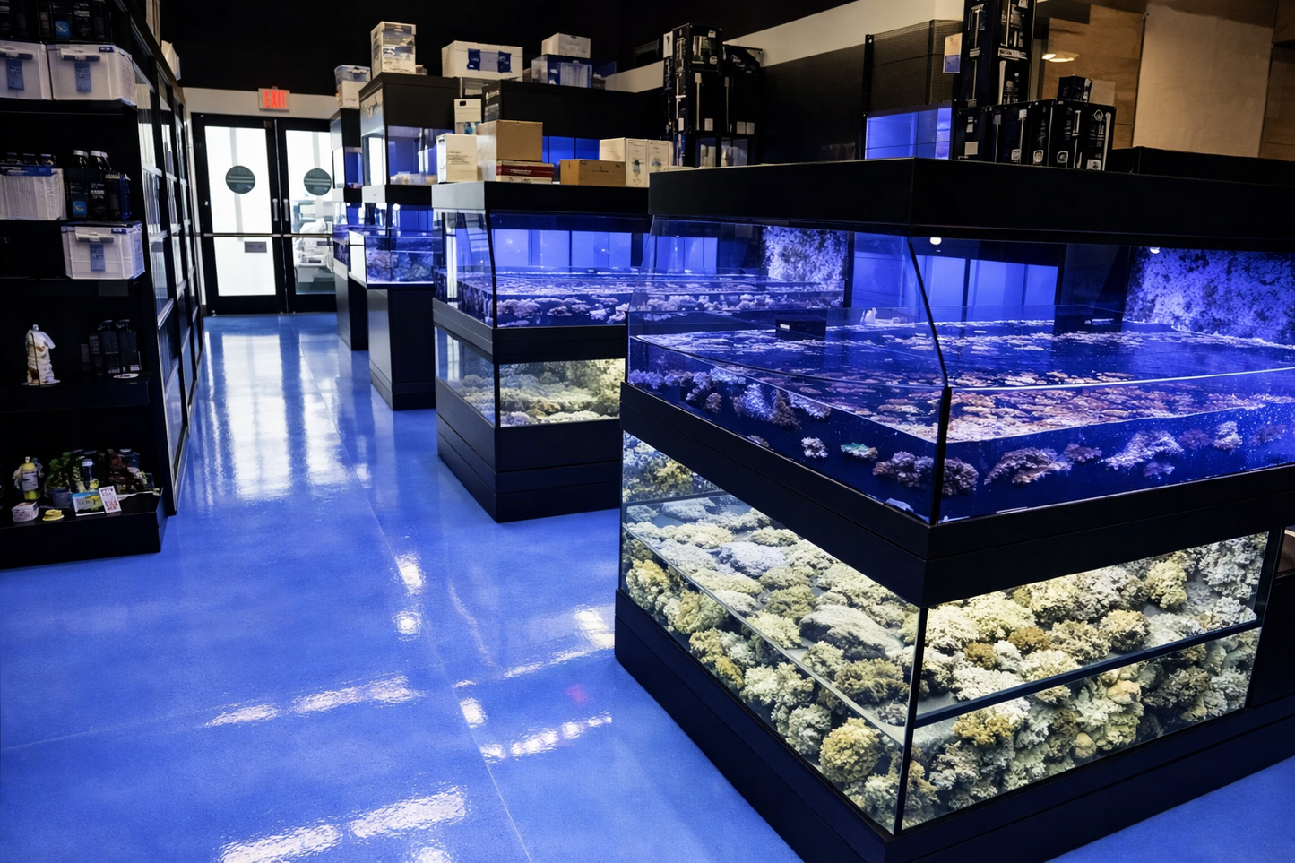 Multiple Coral Frag Display Tables  arranged for coral sales in an aquarium retail environment